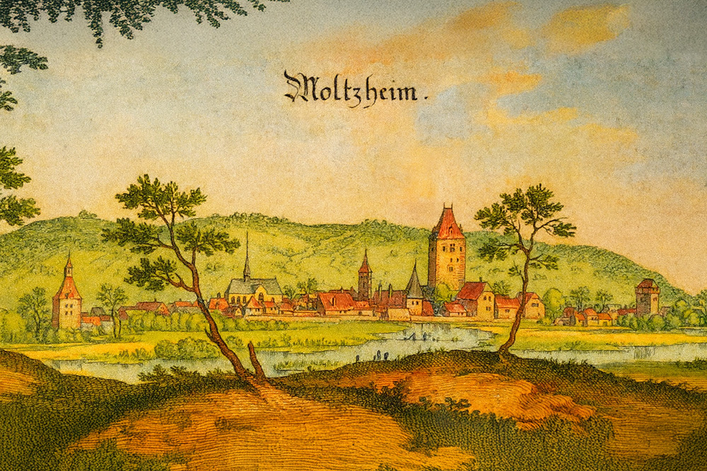 Moltzheim