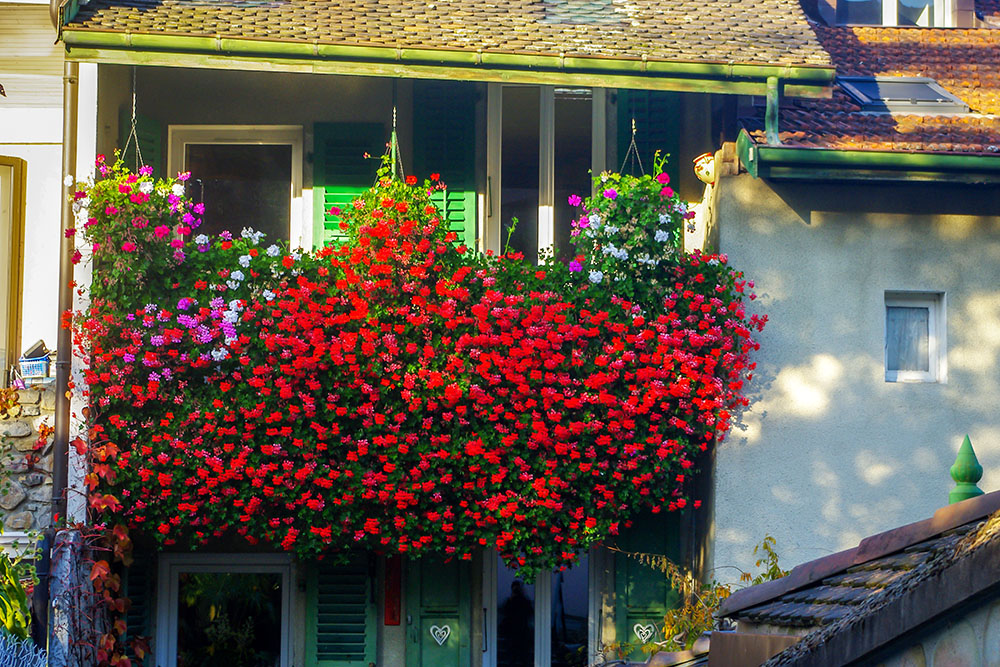 Old town of Evian-les-Bains © French Moments