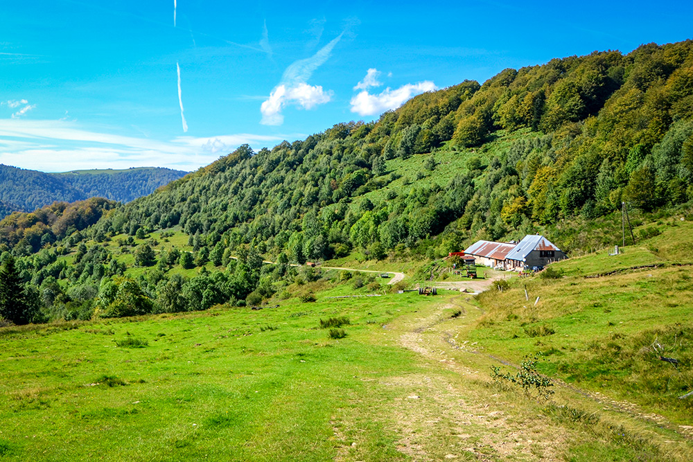 Ferme Auberge dans la vallée de la Doller © French Moments