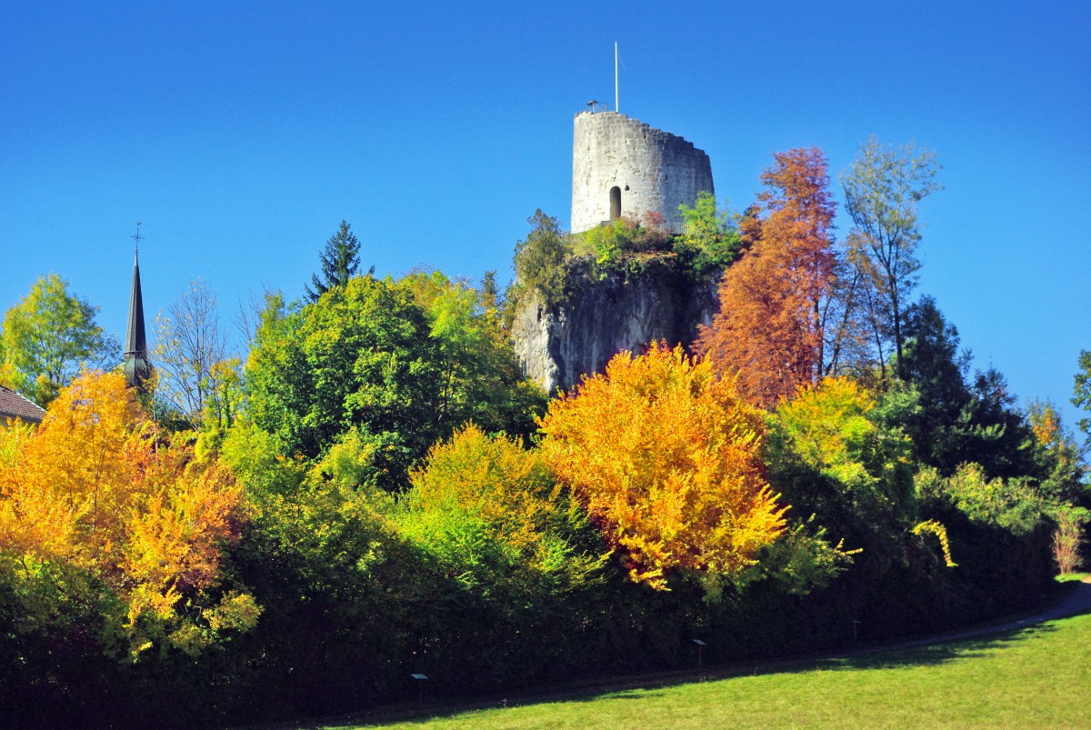 Tower of the Counts of Geneva © French Moments