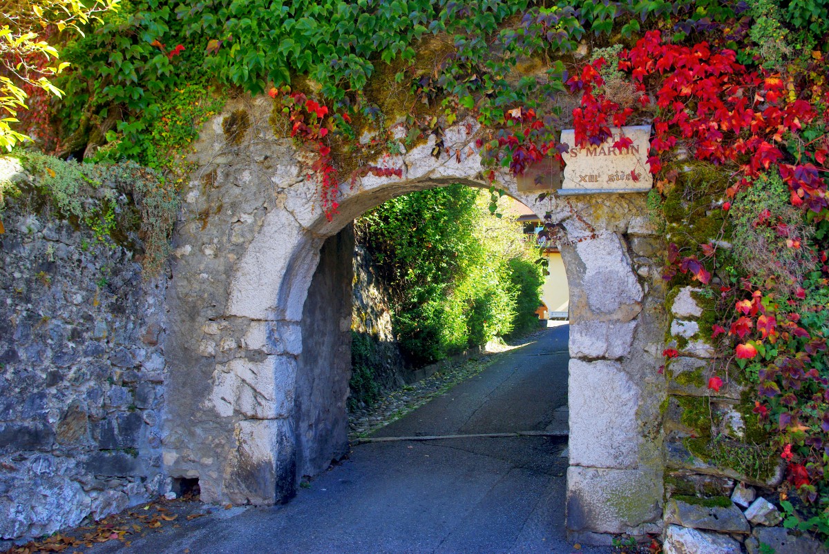 La Roche-sur-Foron © French Moments
