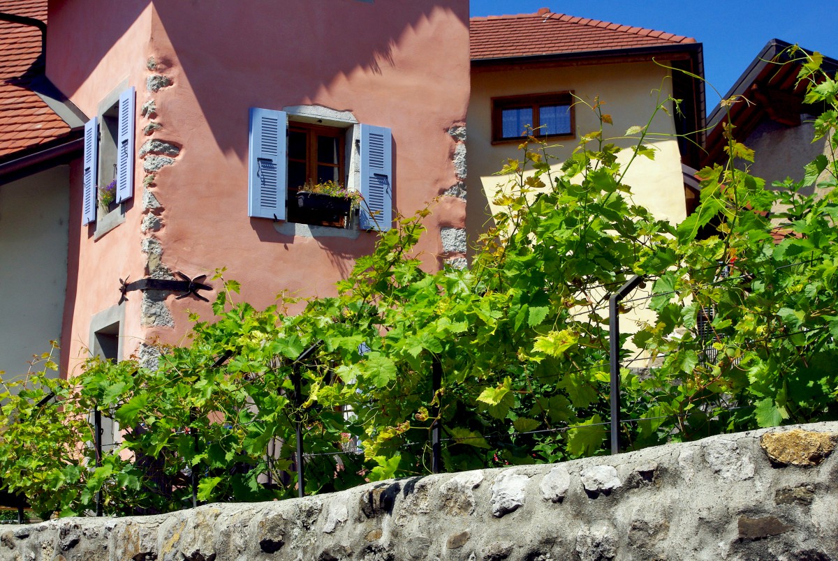 La Roche-sur-Foron © French Moments