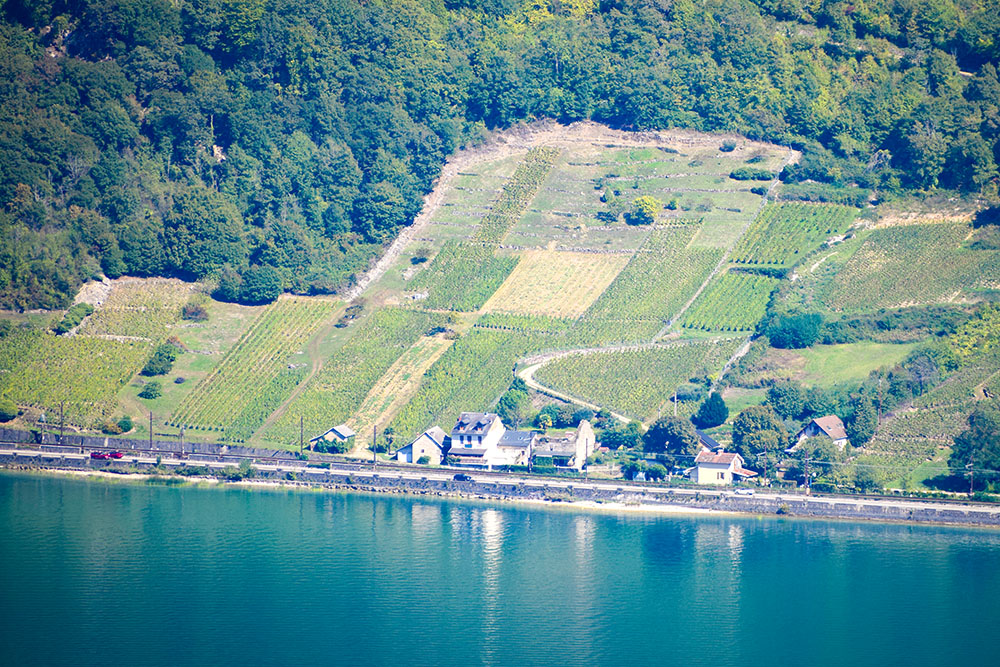 Lake Bourget 10 copyright French Moments Belvédère d'Ontex Lac du Bourget © French Moments