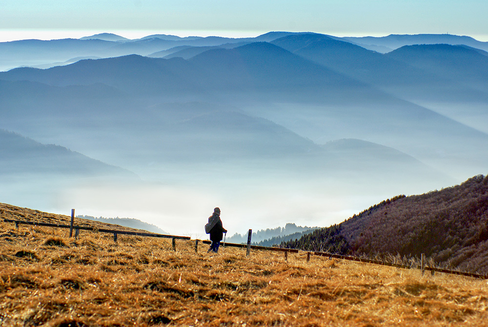 Ligne Bleue des Vosges copyright French Moments Panorama sur la vallée de la Thur depuis le Grand Ballon © French Moments