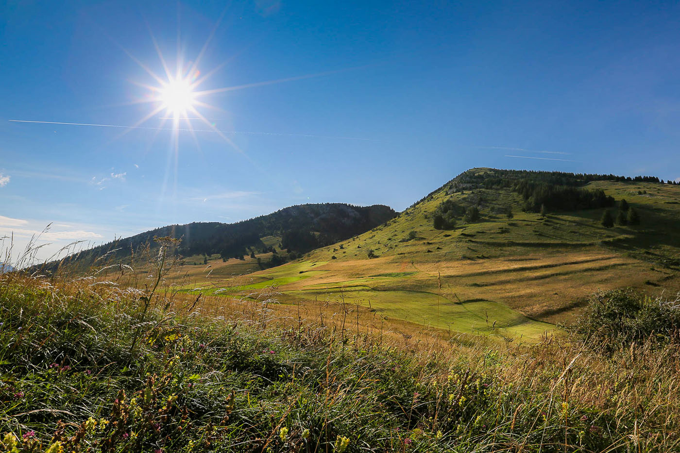 Plateau de Solaison © CEDRIC BRUN - licence [CC BY 3.0] from Wikimedia Commons