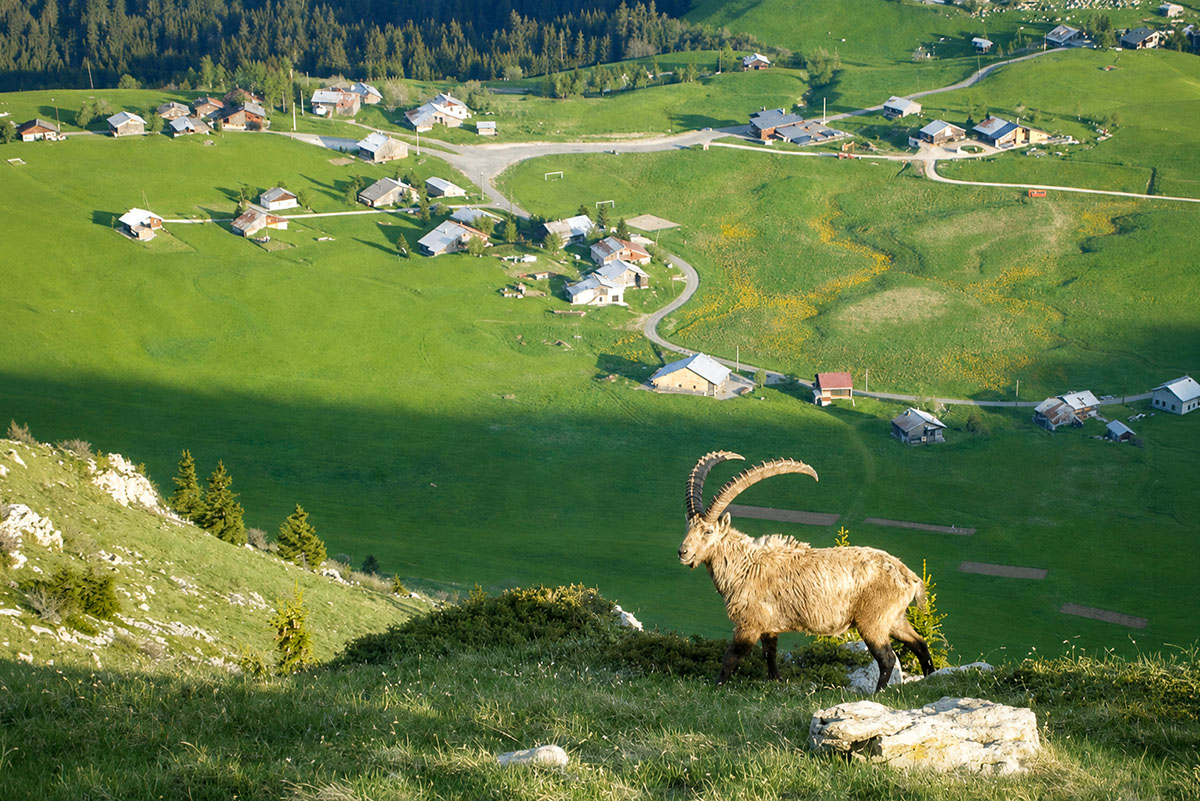 Plateau de Solaison © Christian MOENNE-LOCCOZ - licence [CC BY-SA 2.5] from Wikimedia Commons