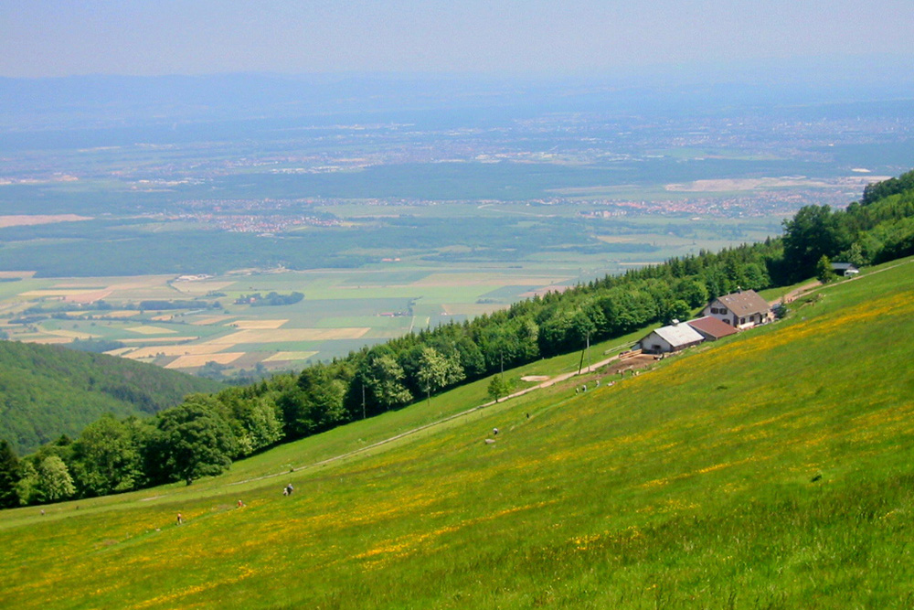 Vosges Vallee de la Doller copyright French Moments Thannerhubel © French Moments