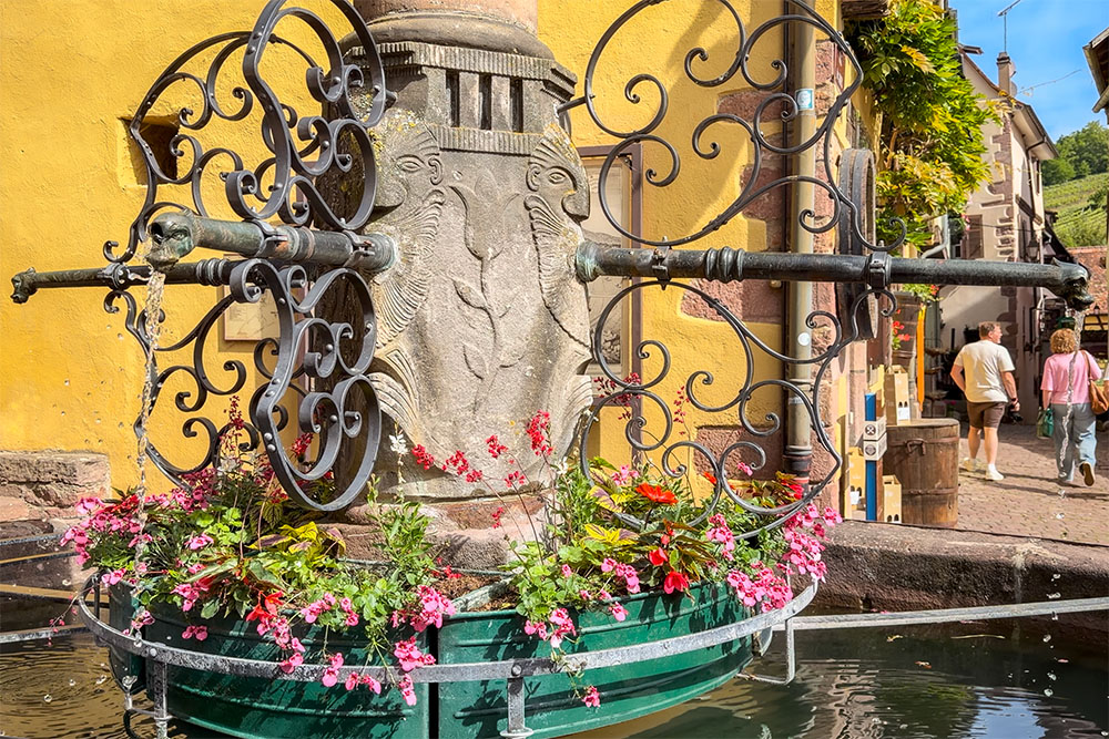 Riquewihr Fontaine de la Sinne copyright French Moments Découvrir Riquewihr - la fontaine de la Sinne
